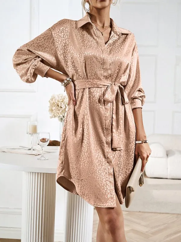 Elegant and elegant shirt collar open placket long sleeve dress