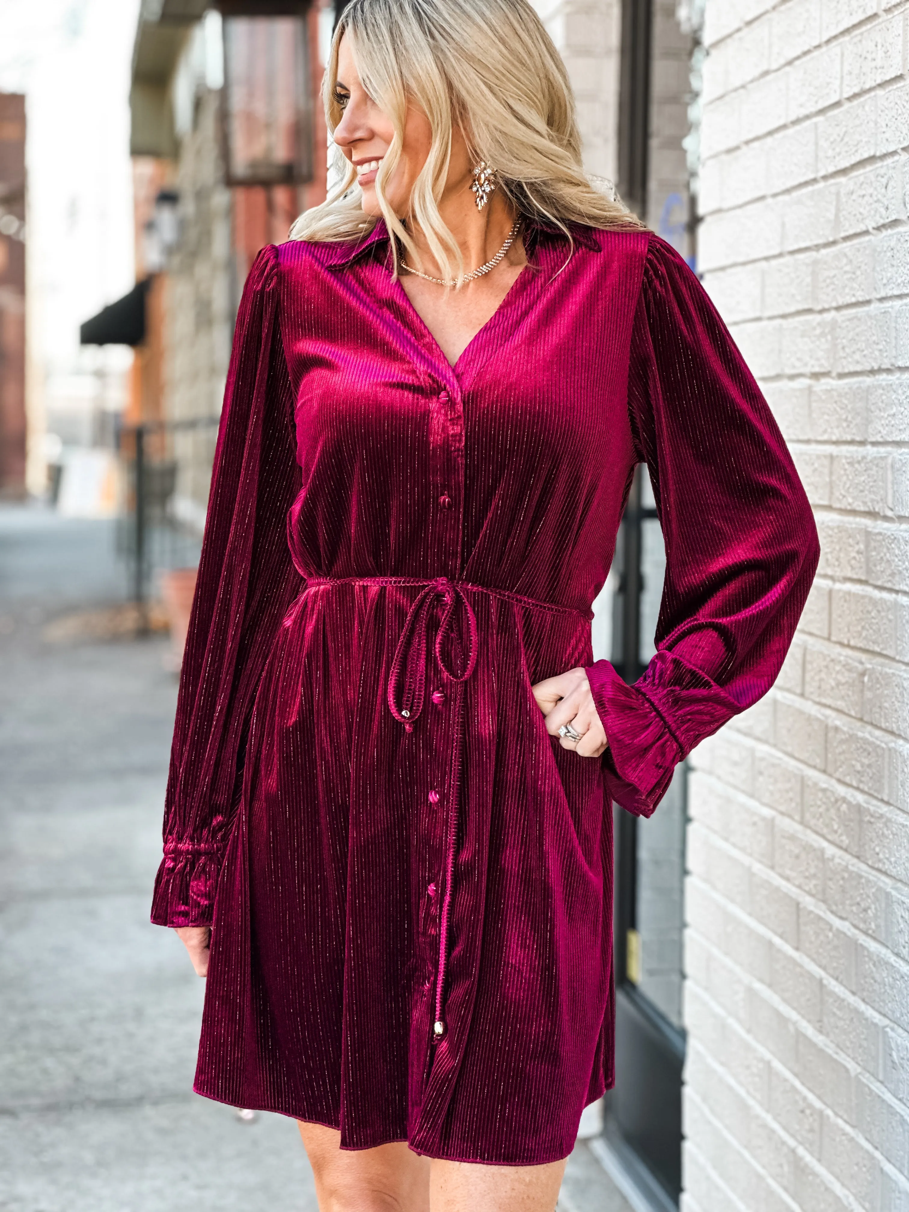 Tinsel Time Velvet Mini Dress